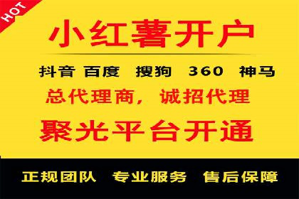百度品牌广告的创意与执行案例